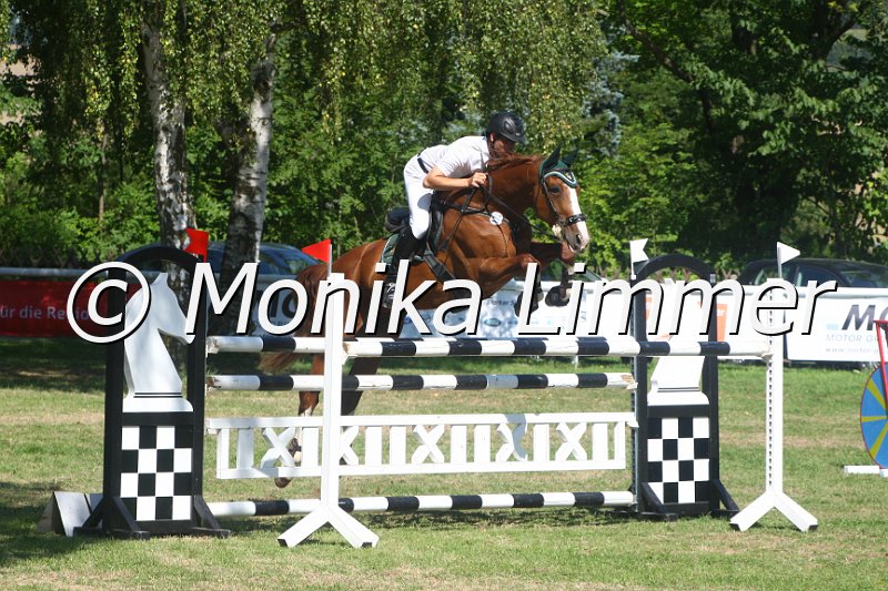 308M3002_First Lady_Spring_Mxx.JPG